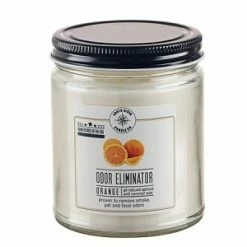 Flash Sale ✔️ South River Candle Co. Odor Eliminator 9 Oz Jar Candle - Orange Zest - Case Of 6 - Apricot Coconut Wax 🎉